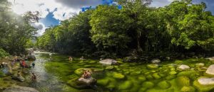 Dentists Australia Partner Accommodation Daintree