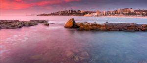 Dentists Australia Partner Coogee Beach Accommodation