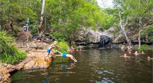 Dentists Australia Partner Sunshine Coast Tourism